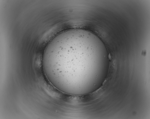 X0000114400074200911061547