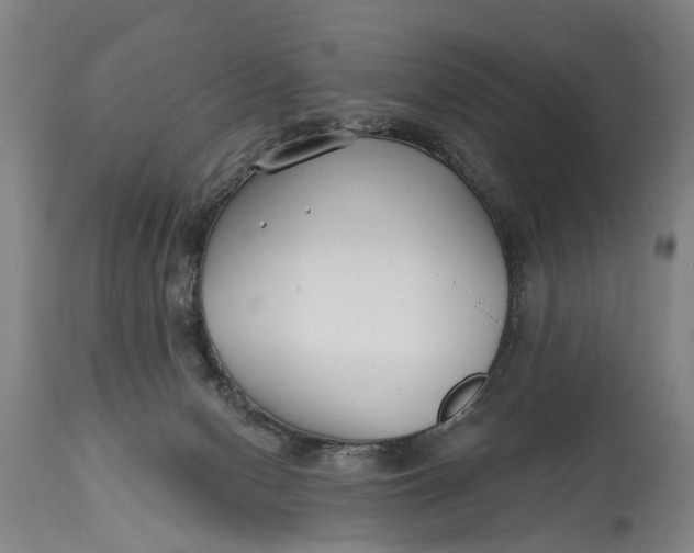 X0000114400078200911061547