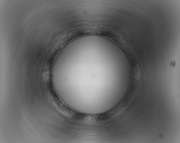 X0000114400080200911061547