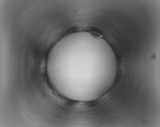 X0000114400082200911061547