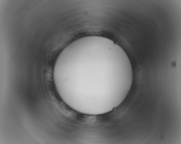 X0000114400083200911061547