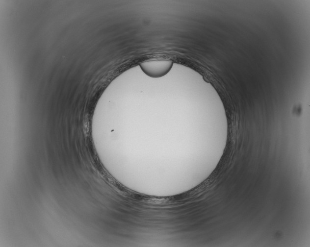 X0000114400085200911061547