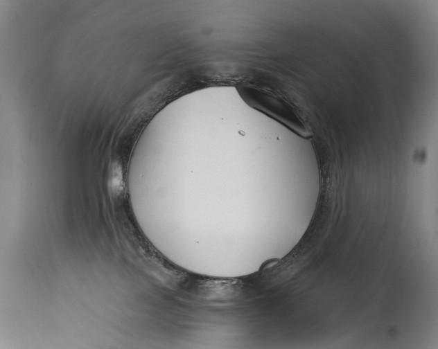 X0000114400089200911061547