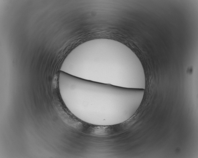 X0000114400090200911061547