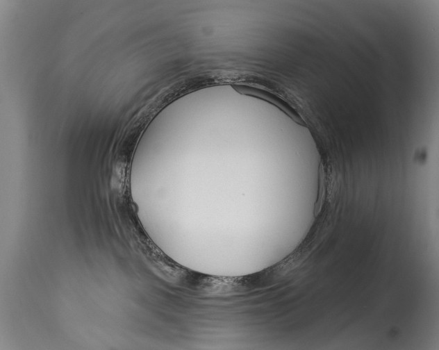 X0000114400093200911061547