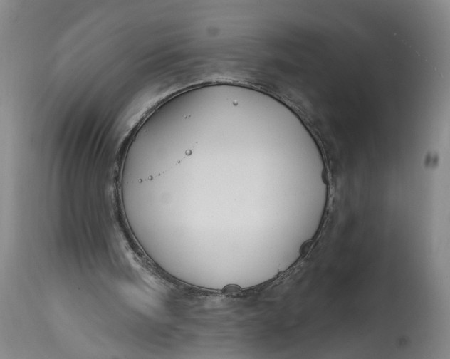 X0000114400098200911061547