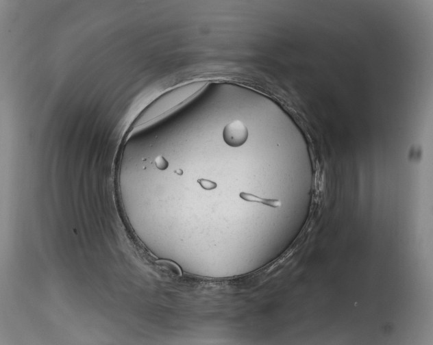 X0000114400099200911061547