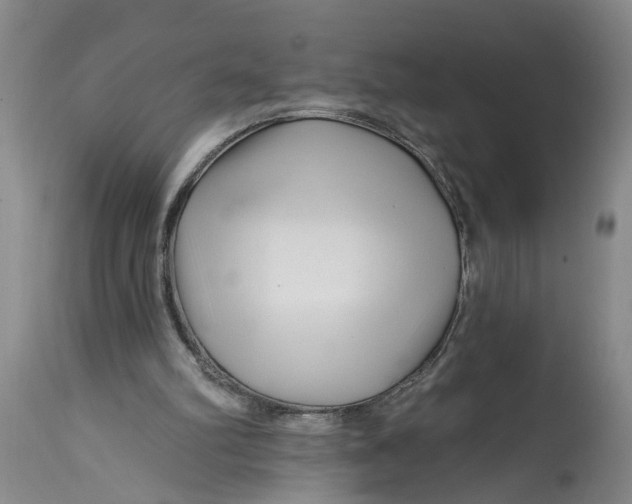 X0000114400102200911061547