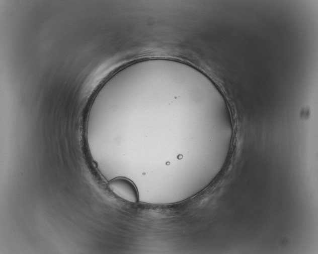 X0000114400103200911061547