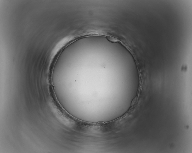 X0000114400104200911061547