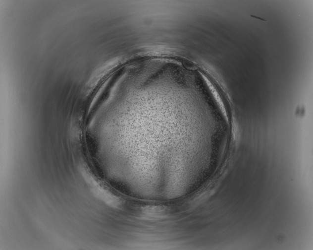 X0000114400105200911061547