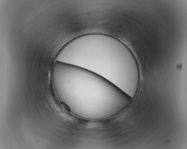 X0000114400109200911061547