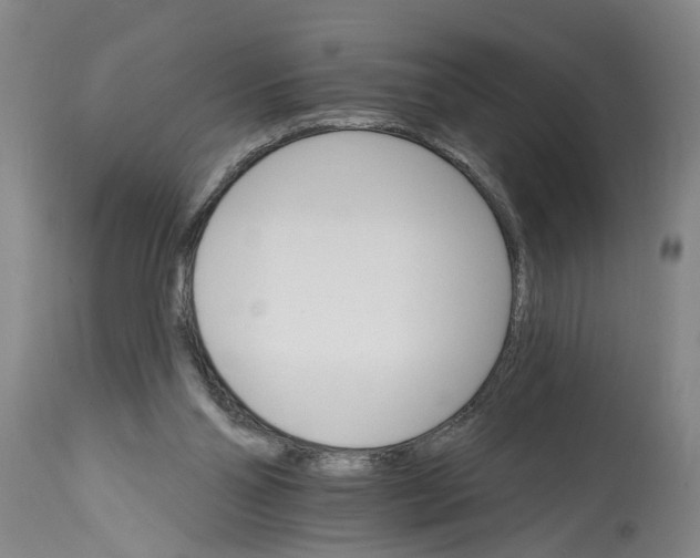 X0000114400110200911061547