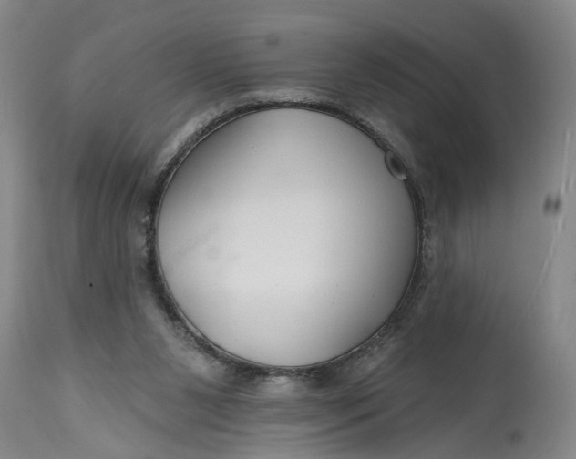 X0000114400111200911061547