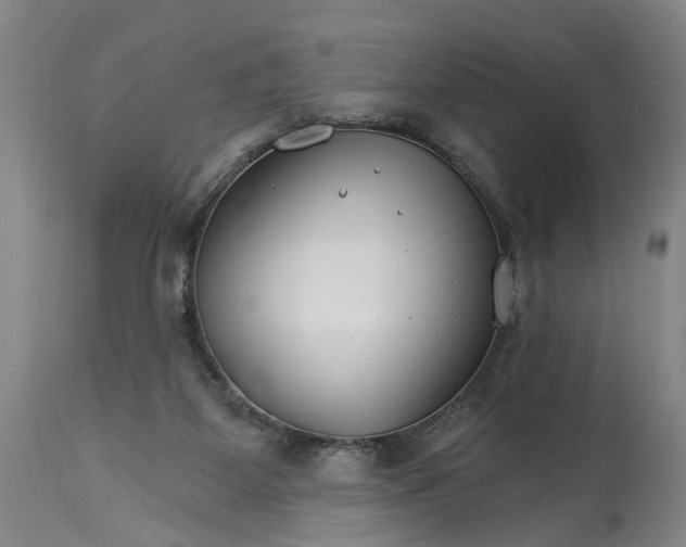 X0000114400115200911061547