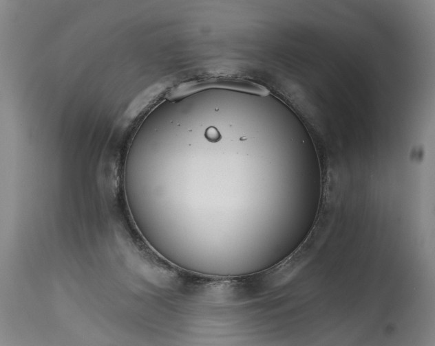 X0000114400116200911061547