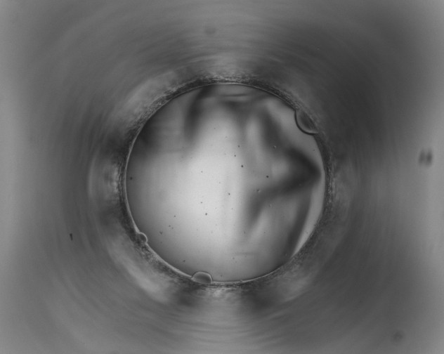 X0000114400117200911061547