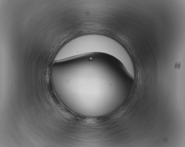 X0000114400121200911061546