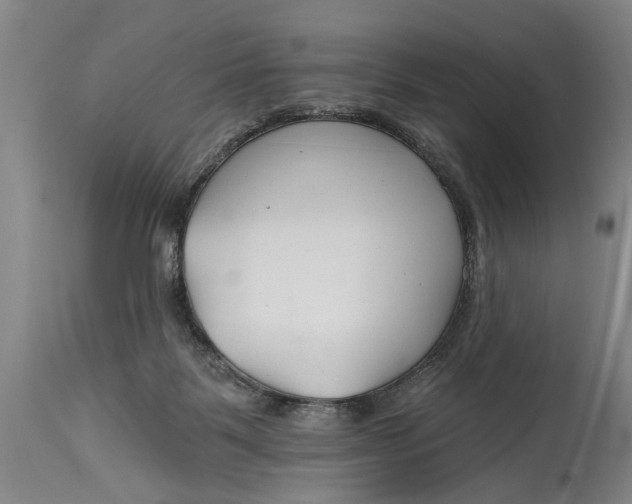 X0000114400123200911061546