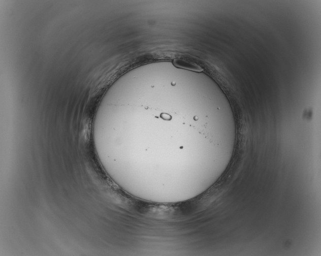 X0000114400125200911061546