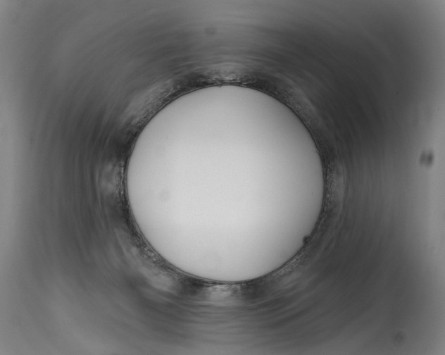 X0000114400126200911061546