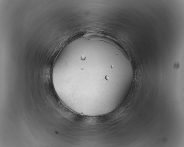 X0000114400127200911061546