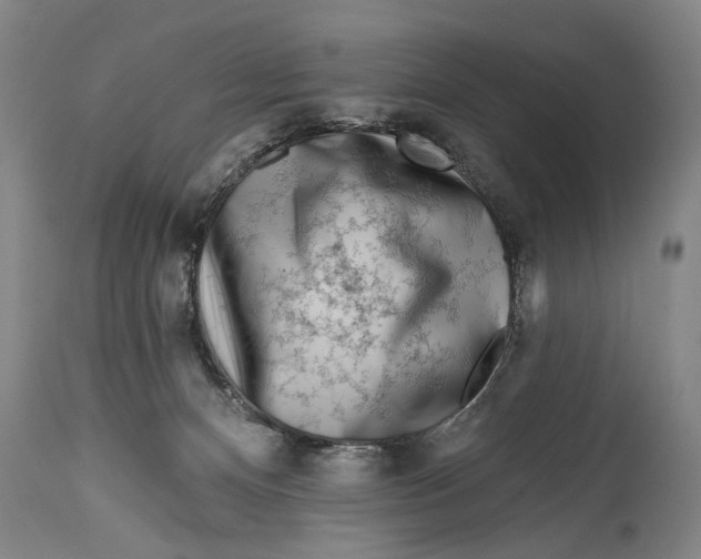 X0000114400128200911061546