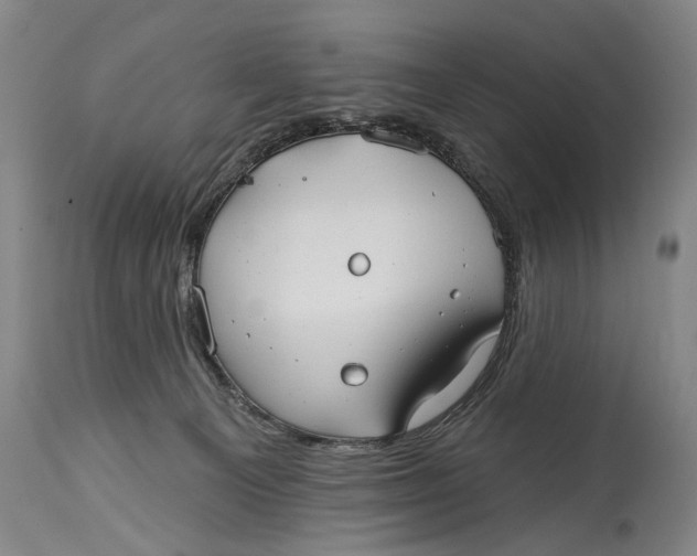 X0000114400129200911061546