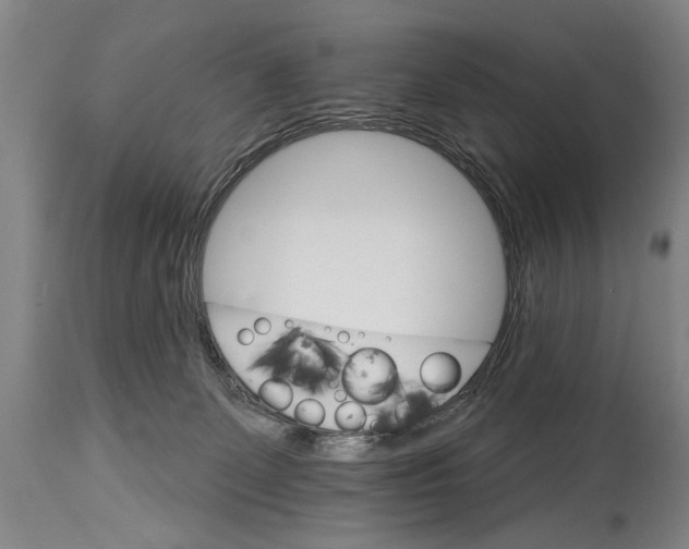 X0000114400131200911061546