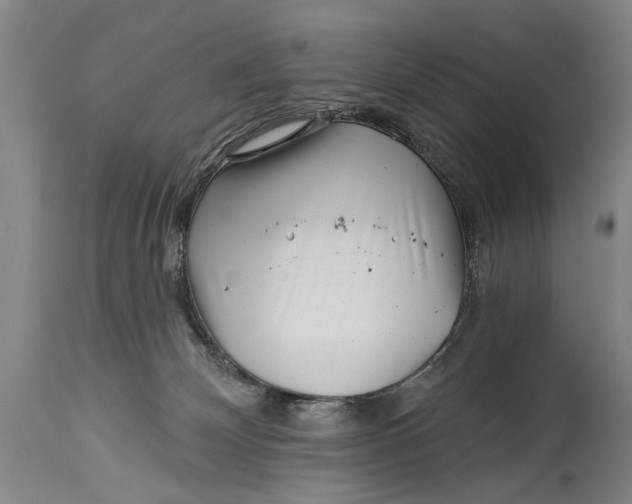 X0000114400132200911061546