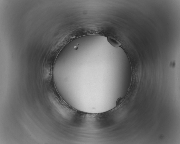 X0000114400134200911061546