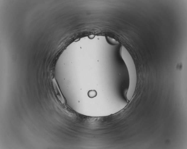 X0000114400136200911061546