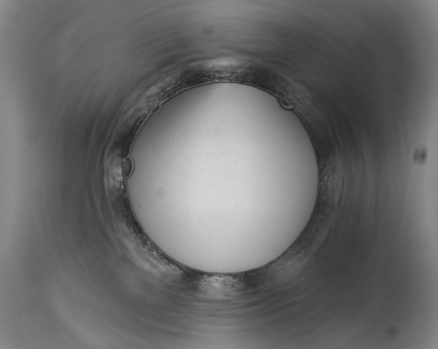 X0000114400137200911061546