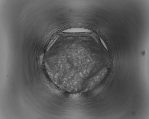 X0000114400139200911061546