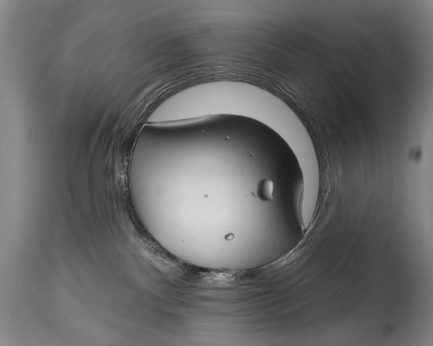 X0000114400140200911061546