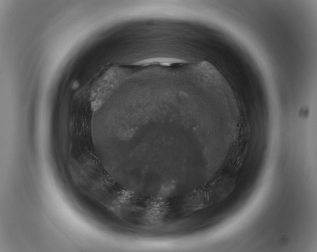 X0000114400143200911061546