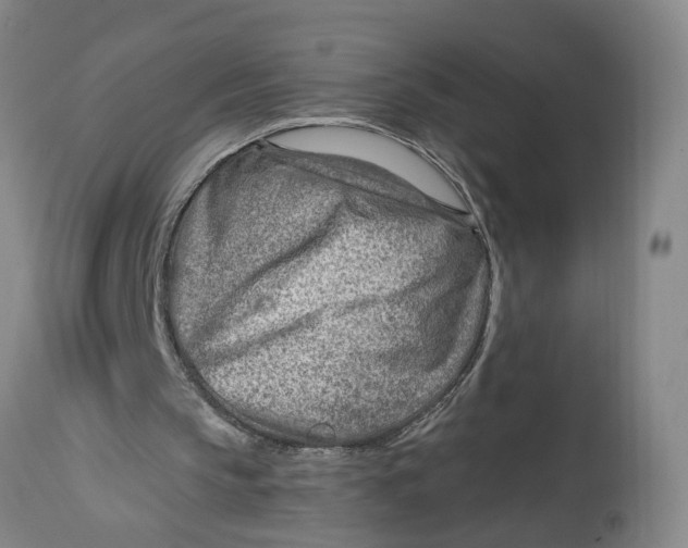 X0000114400145200911061546