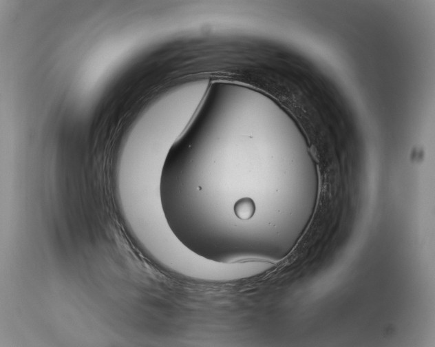 X0000114400146200911061546