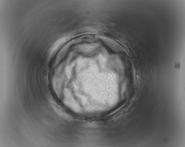 X0000114400149200911061546