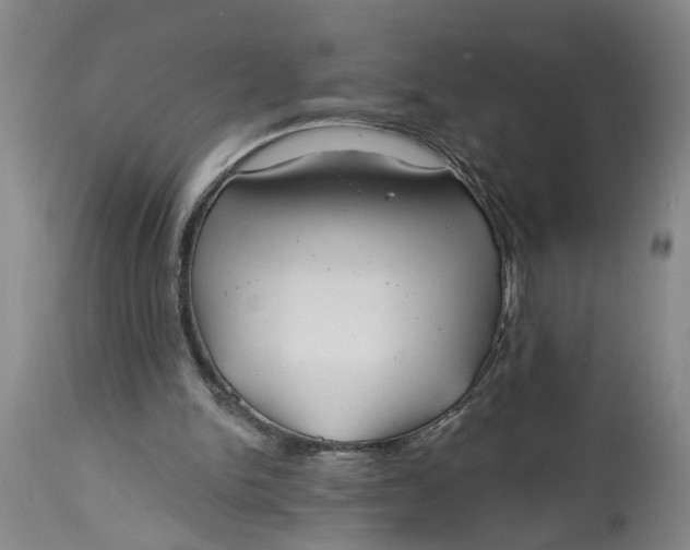 X0000114400150200911061546