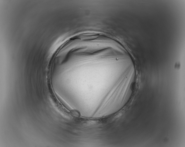 X0000114400151200911061546