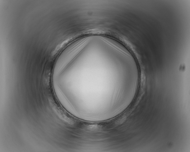 X0000114400153200911061546