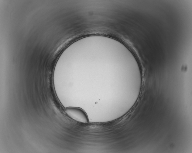 X0000114400154200911061546