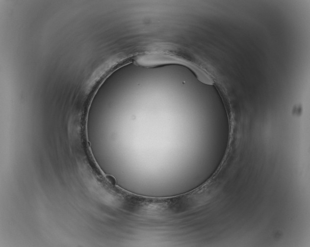 X0000114400155200911061546