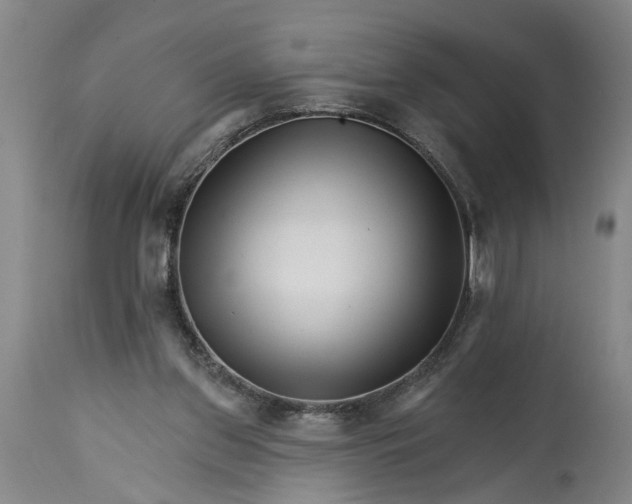 X0000114400157200911061546