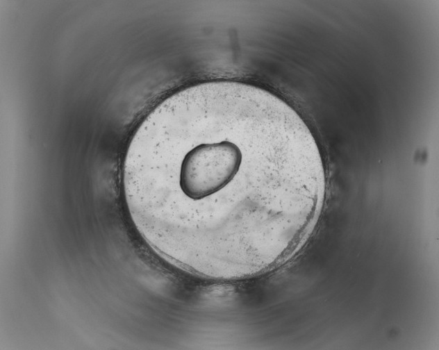 X0000114400162200911061546