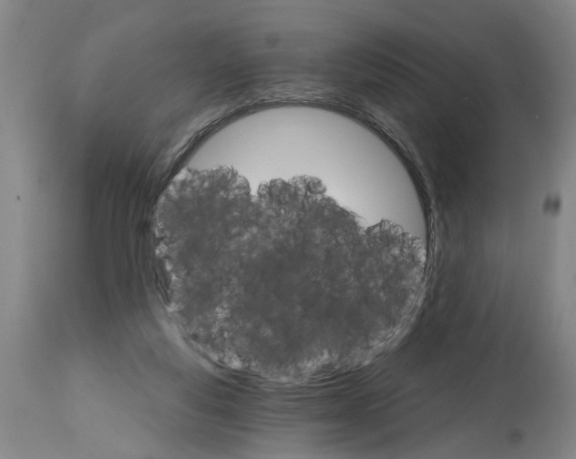 X0000114400163200911061546