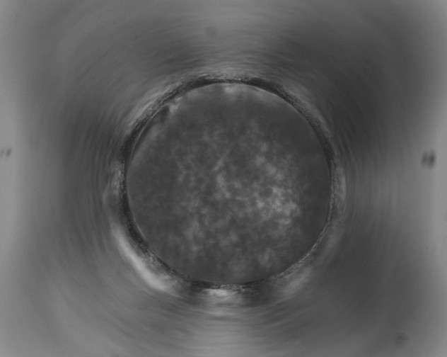 X0000114400167200911061546