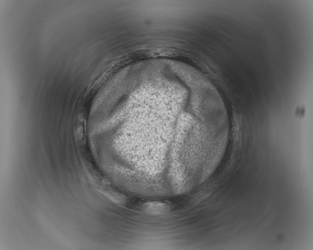 X0000114400169200911061546