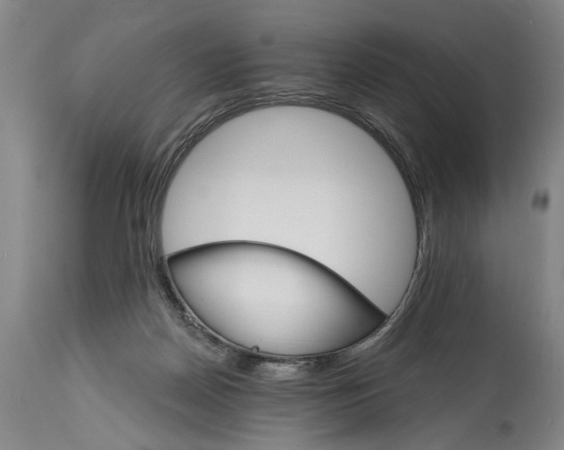 X0000114400170200911061546